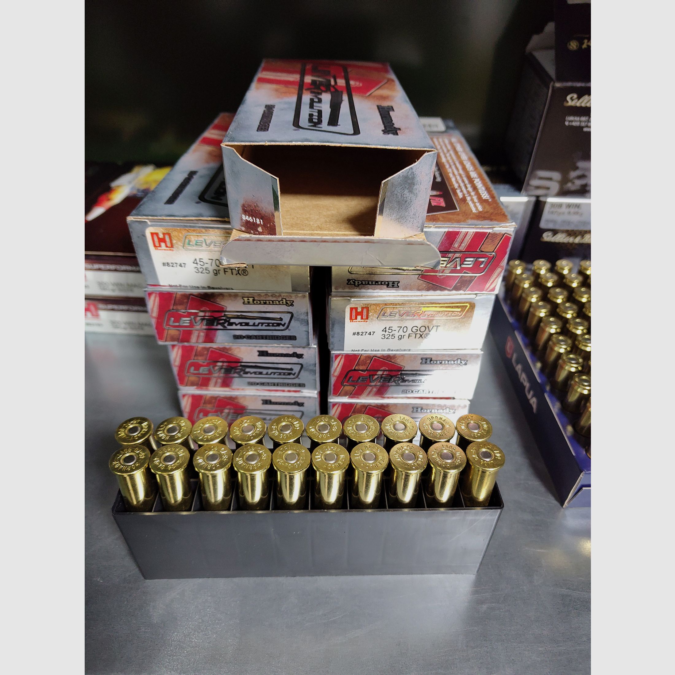 .45-70 Government Hornady LeverRevolution