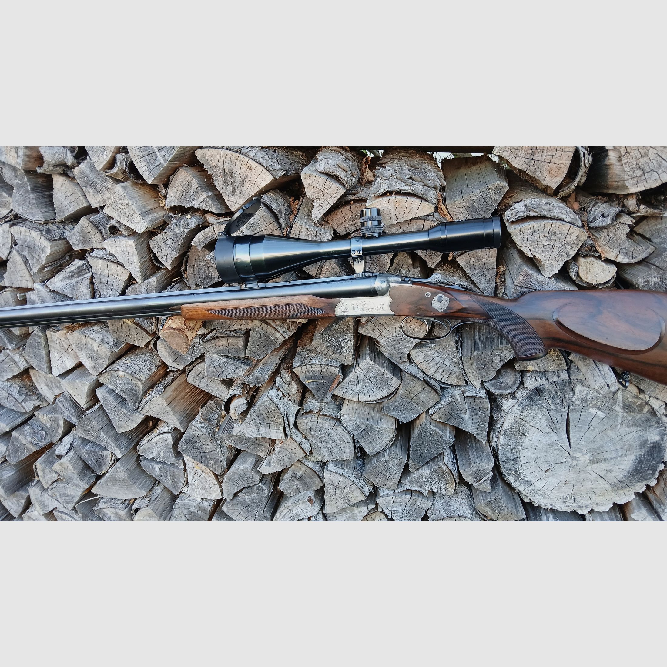 Sauer & Sohn Drilling 3000 with insert barrel