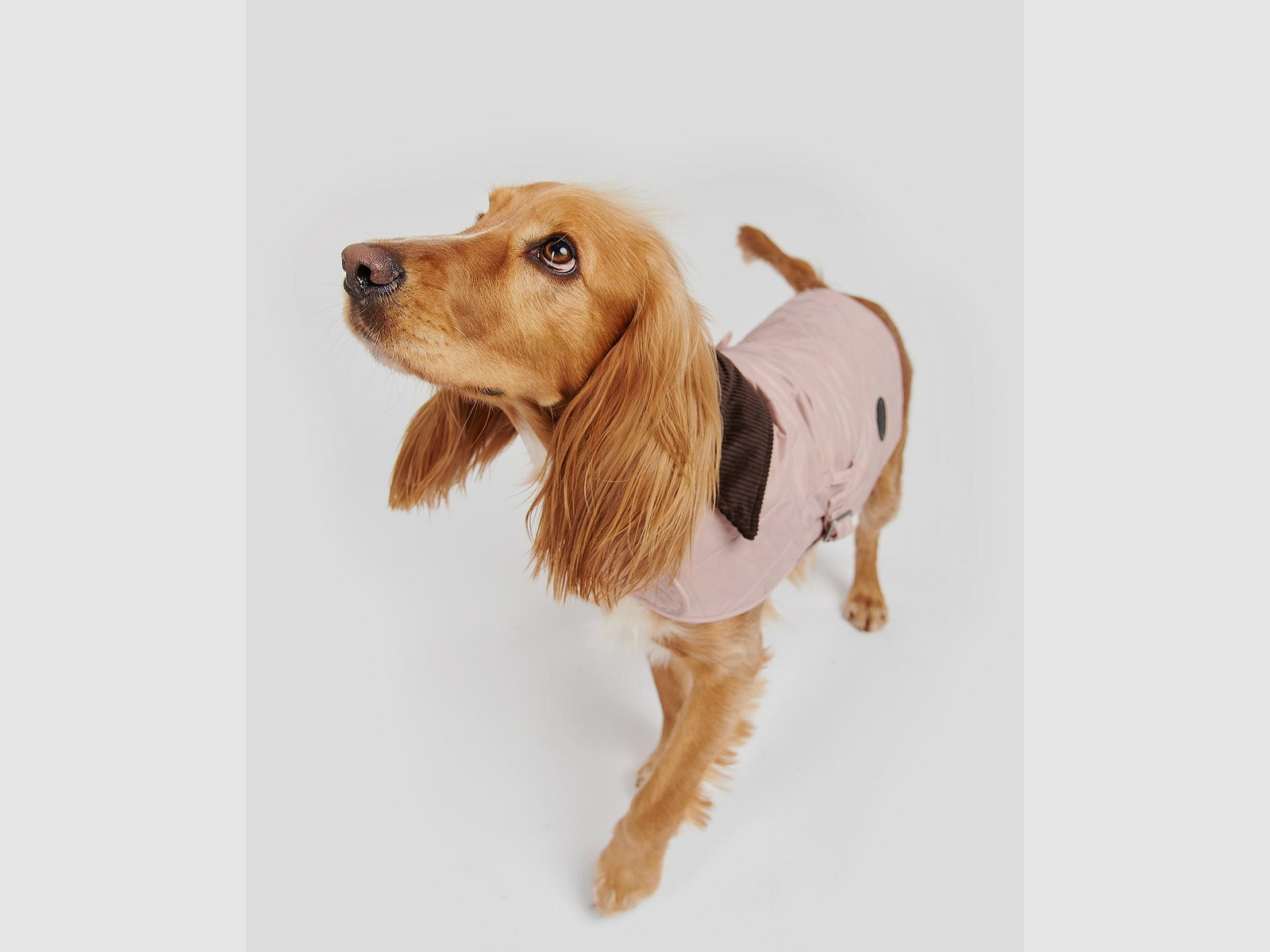 Abrigo para perros Barbour acolchado