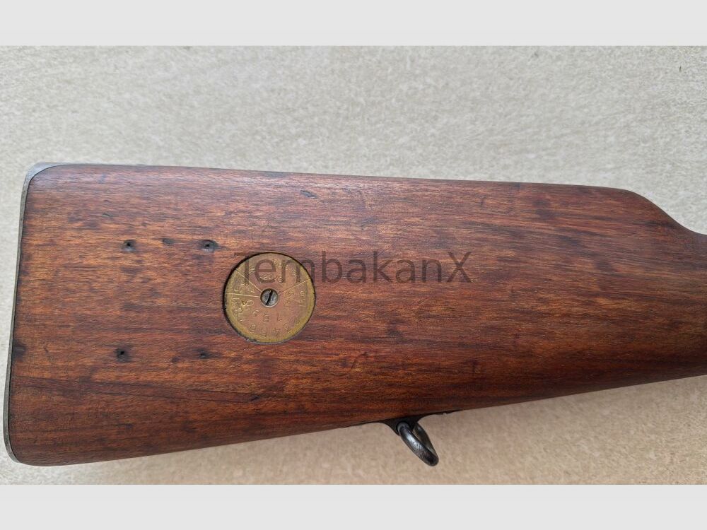 Carl Gustafs Mauser 96 6.5x55SE