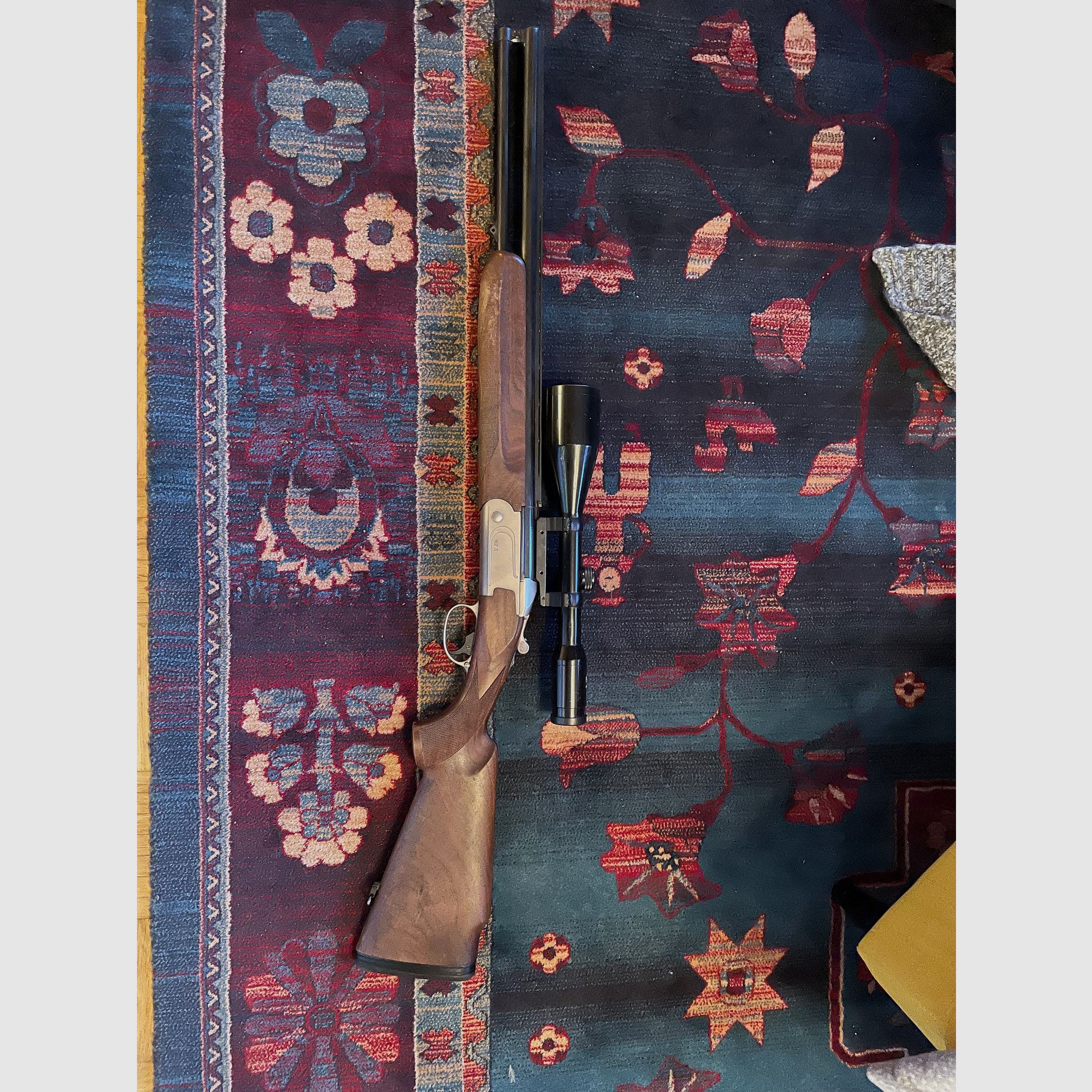 BBF Tikka 30.06