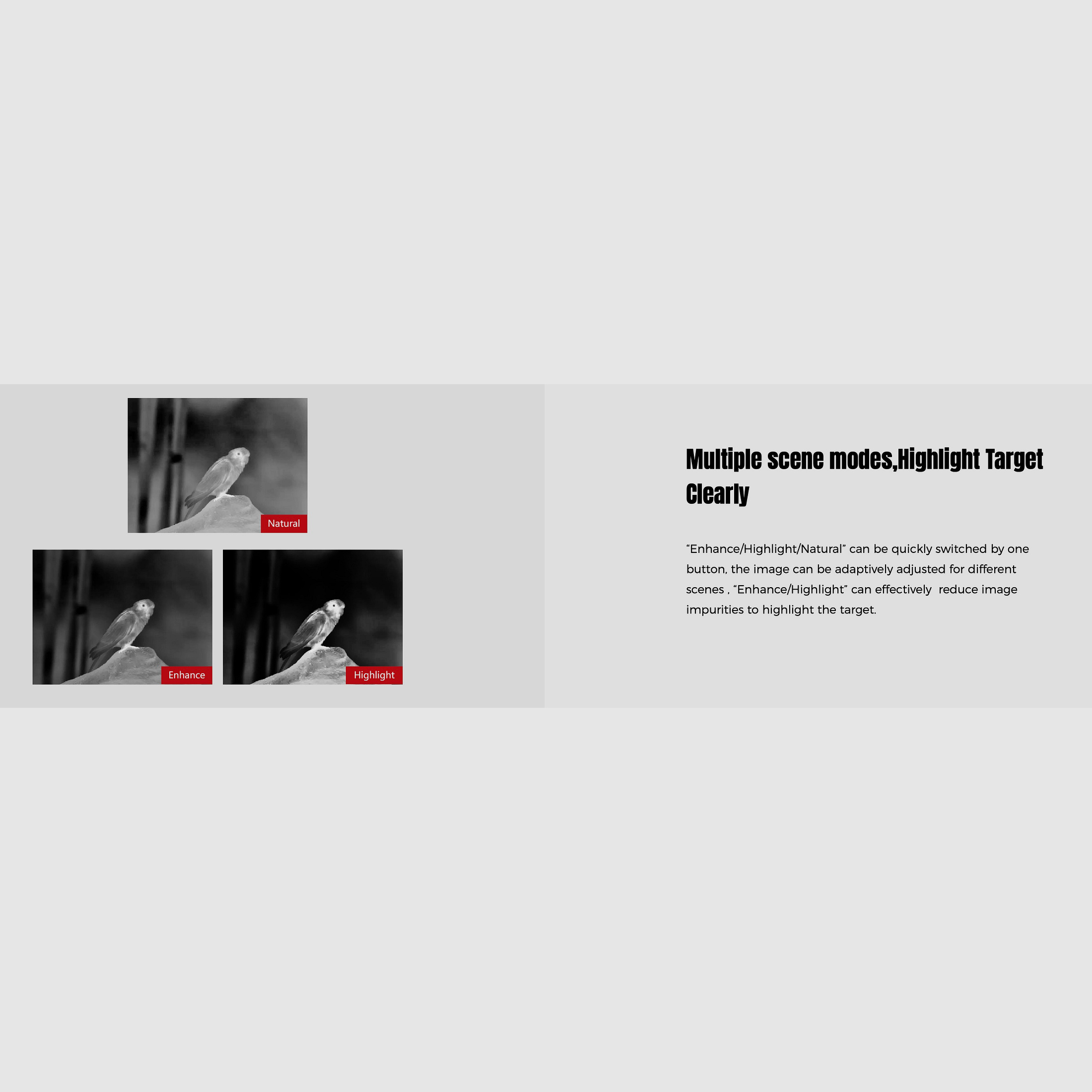 Guide Wärmebildfernglas TN430 Binocular Handheld 400x300 Sensor