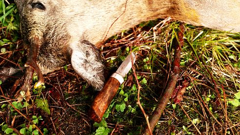 KARESUANDOKNIVEN - Messerqualität weit nördlich des Polarkreises