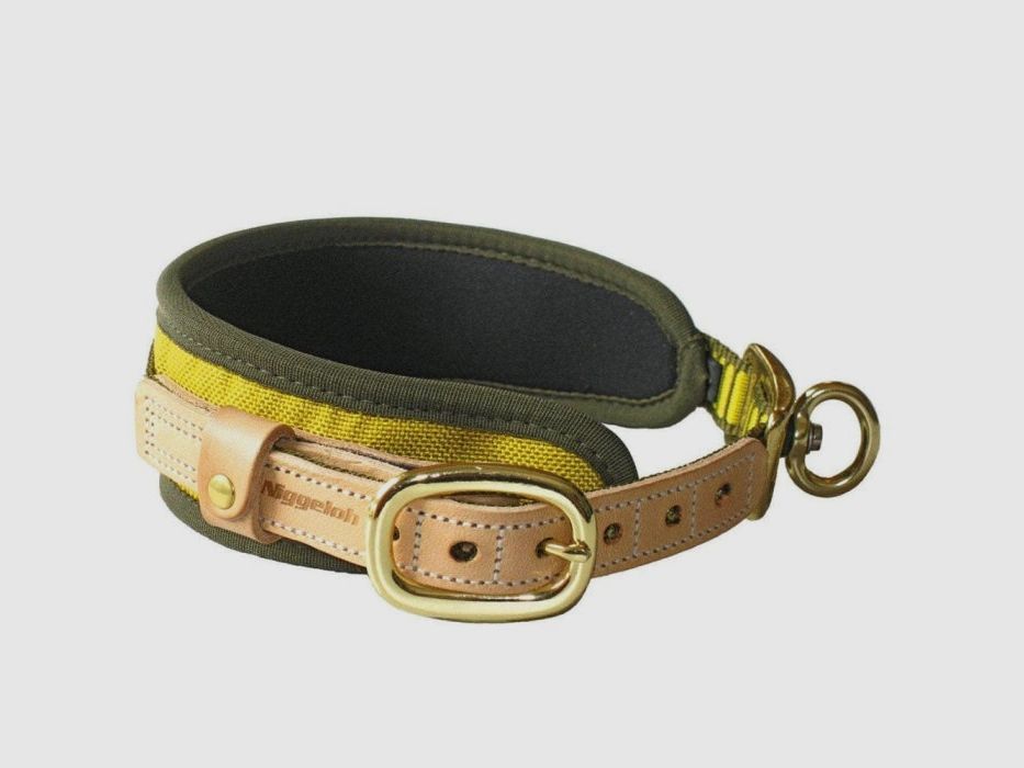 Collare Niggeloh per cane da sangue in neoprene con struttura in alluminio, immagine 2 di 4