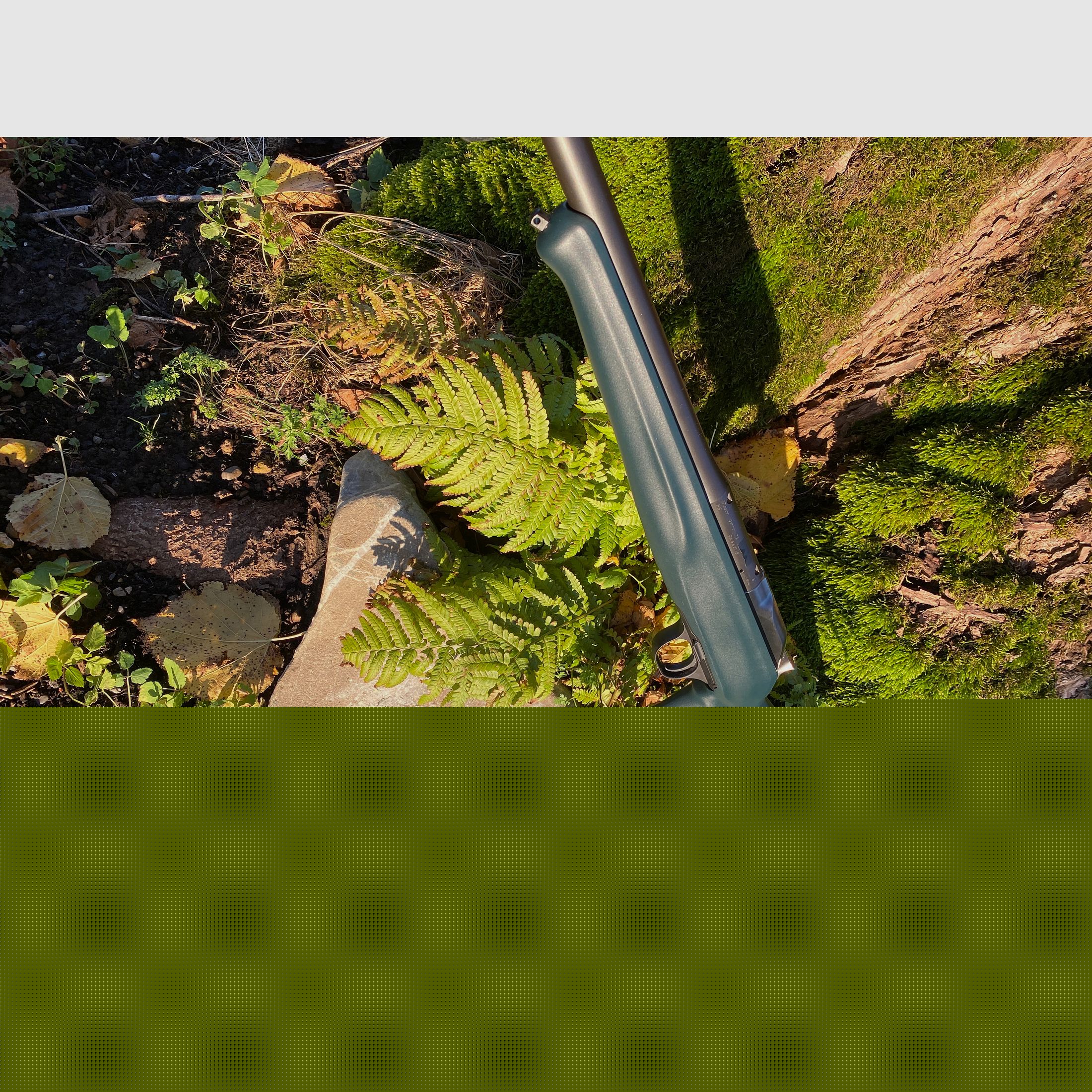 Blaser R8 kolf / doorloperschaft