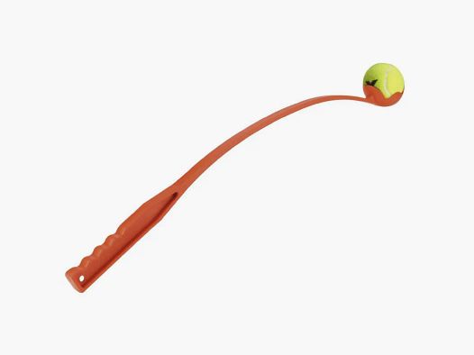 Jeu chien lanceur de balle de tennis manuel