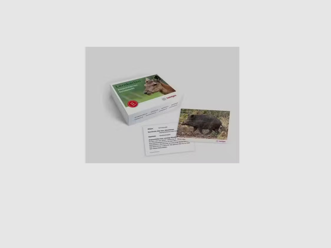 Heintges Learning Cards