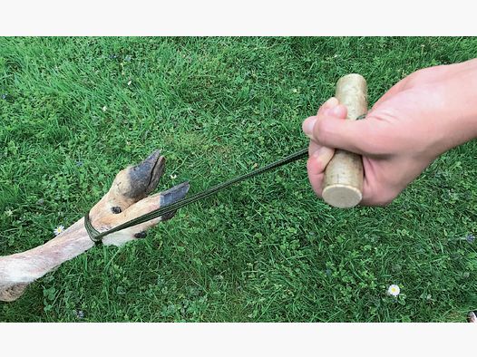 Kieferle's Wildberger