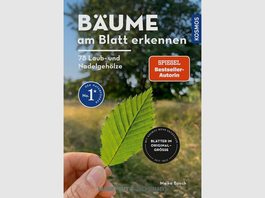 Kosmos Reconnaître les arbres à la feuille Meike Bosch