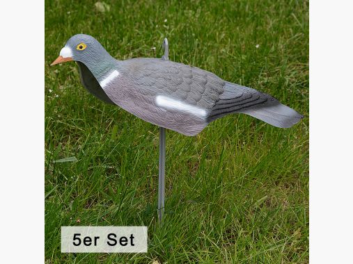 il Lago Passion Ringeltaube Halbschale (5er Set) |