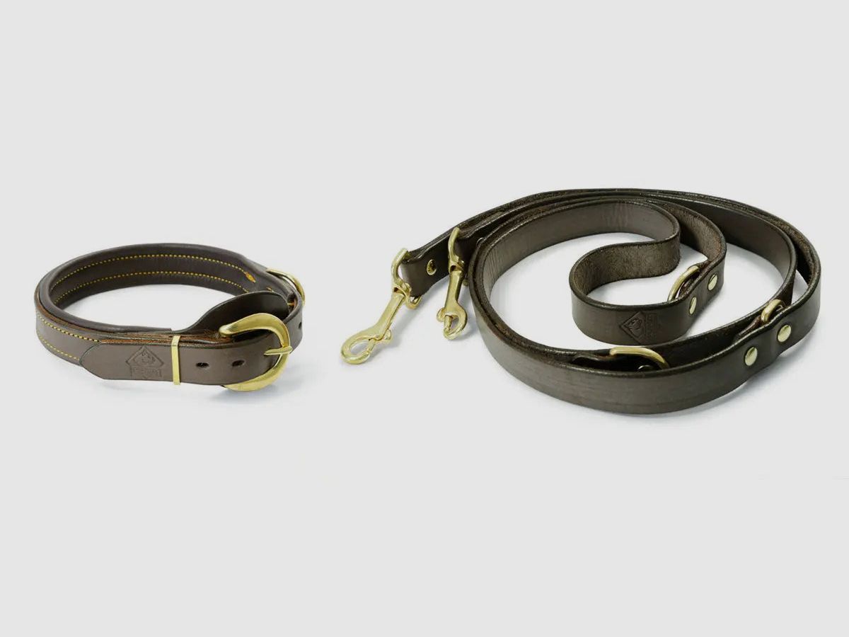 PUMA Leder- Hundehalsband + Leine