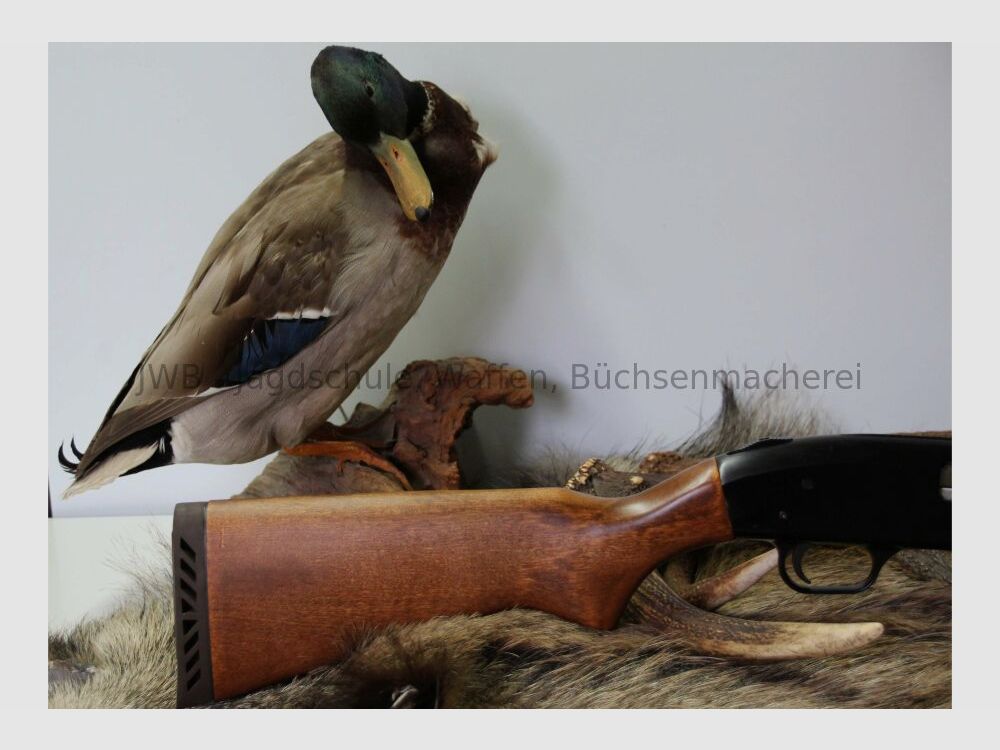 Mossberg ATB 85 12/70