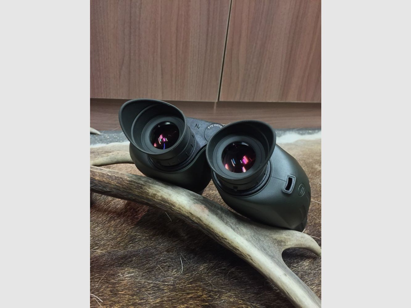 Steiner Nighthunter 8x56