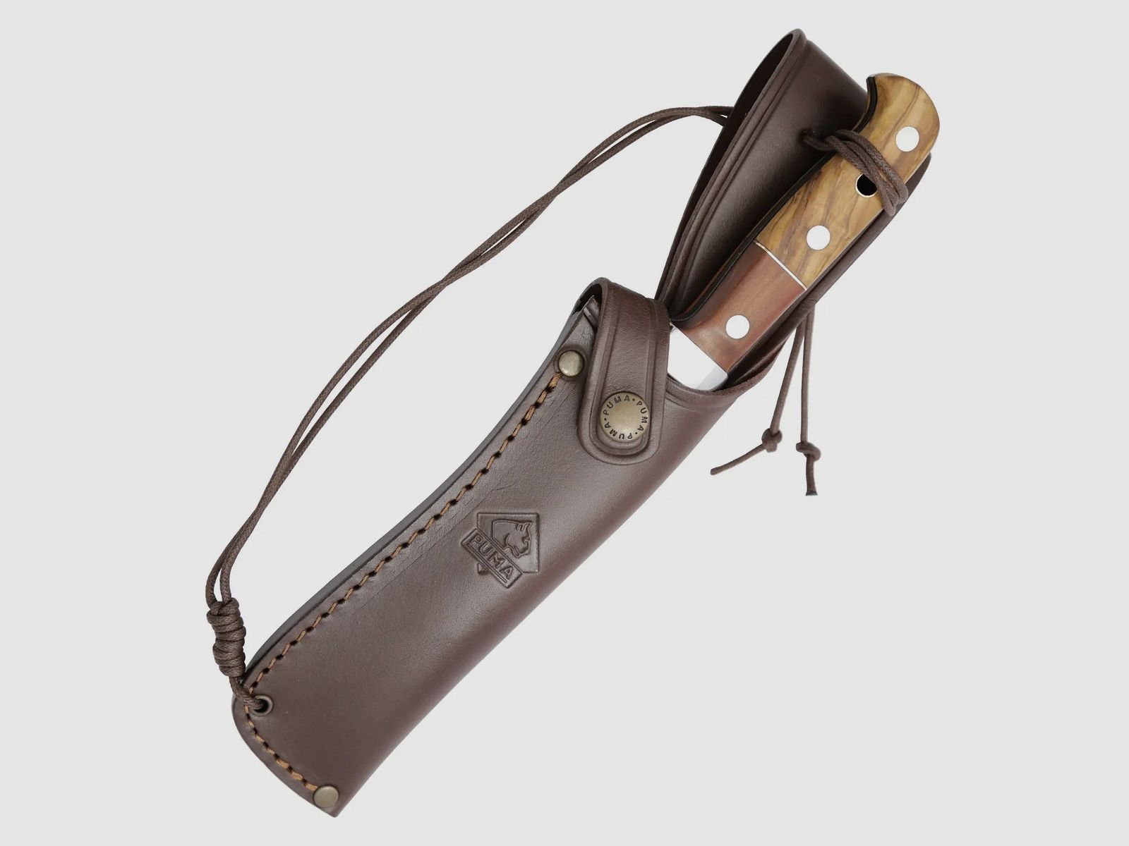 PUMA chasseur blanc, lion