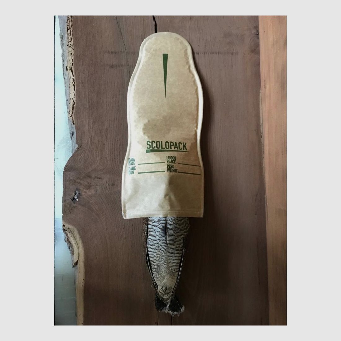 Scolopack, afbeelding 5 van 7