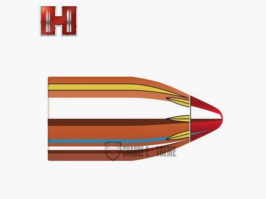 50 Pocisków HORNADY 45 kal 452-250 Gr Ftx