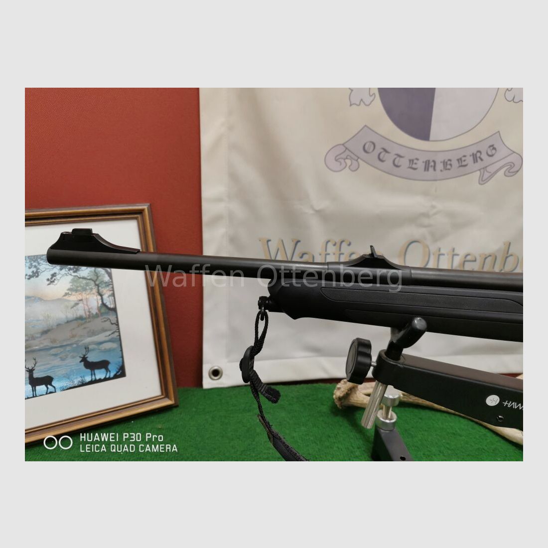 Sauer & Sohn 303