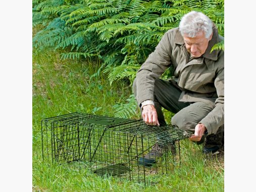 the Lake Passion Box Trap (foldable) |