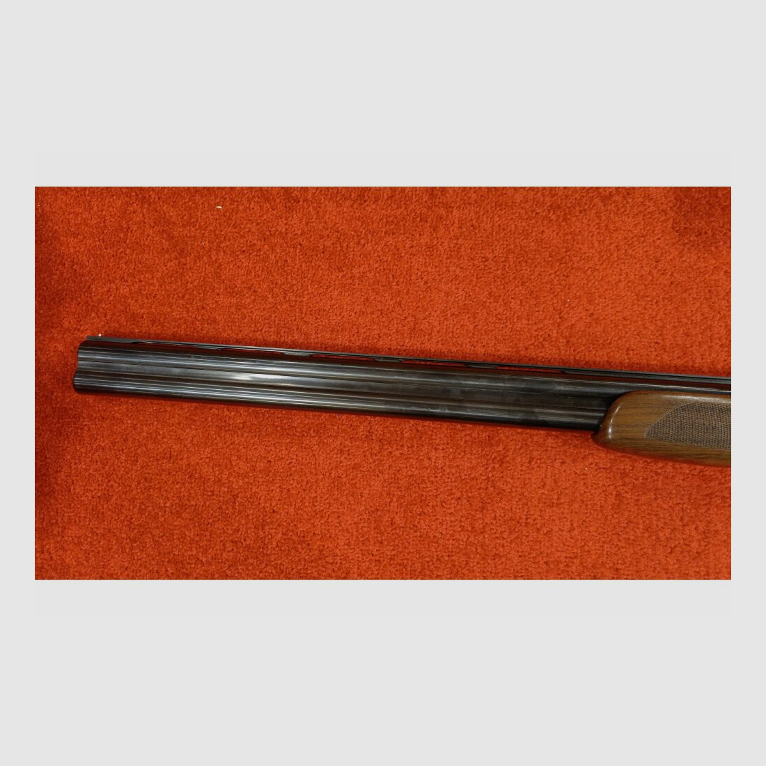 Double-barreled shotgun Beretta SP 3 hunting 12/76