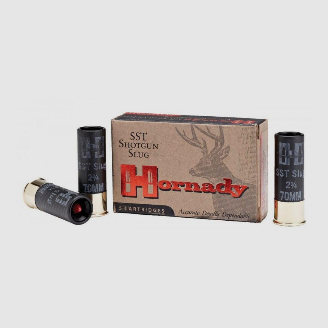 12/70 Hornady CUSTOM LITE® 300 gr FTX® VE5