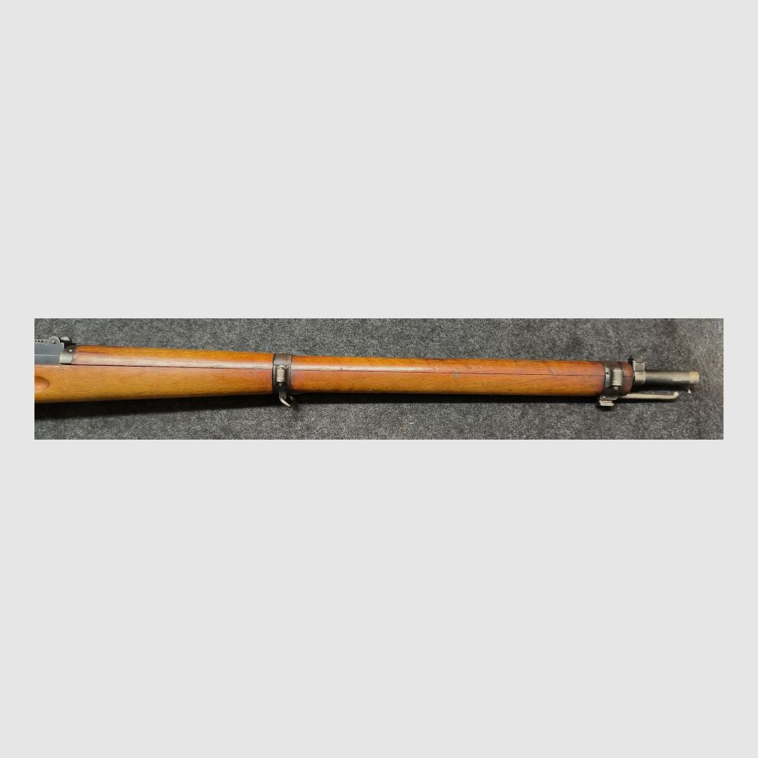 Schmidt Rubin G11