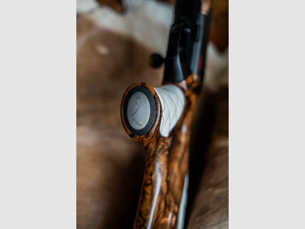 CARCASSE BLASER R8 CUSTOM MONTE-CARLO, image 2 sur 13