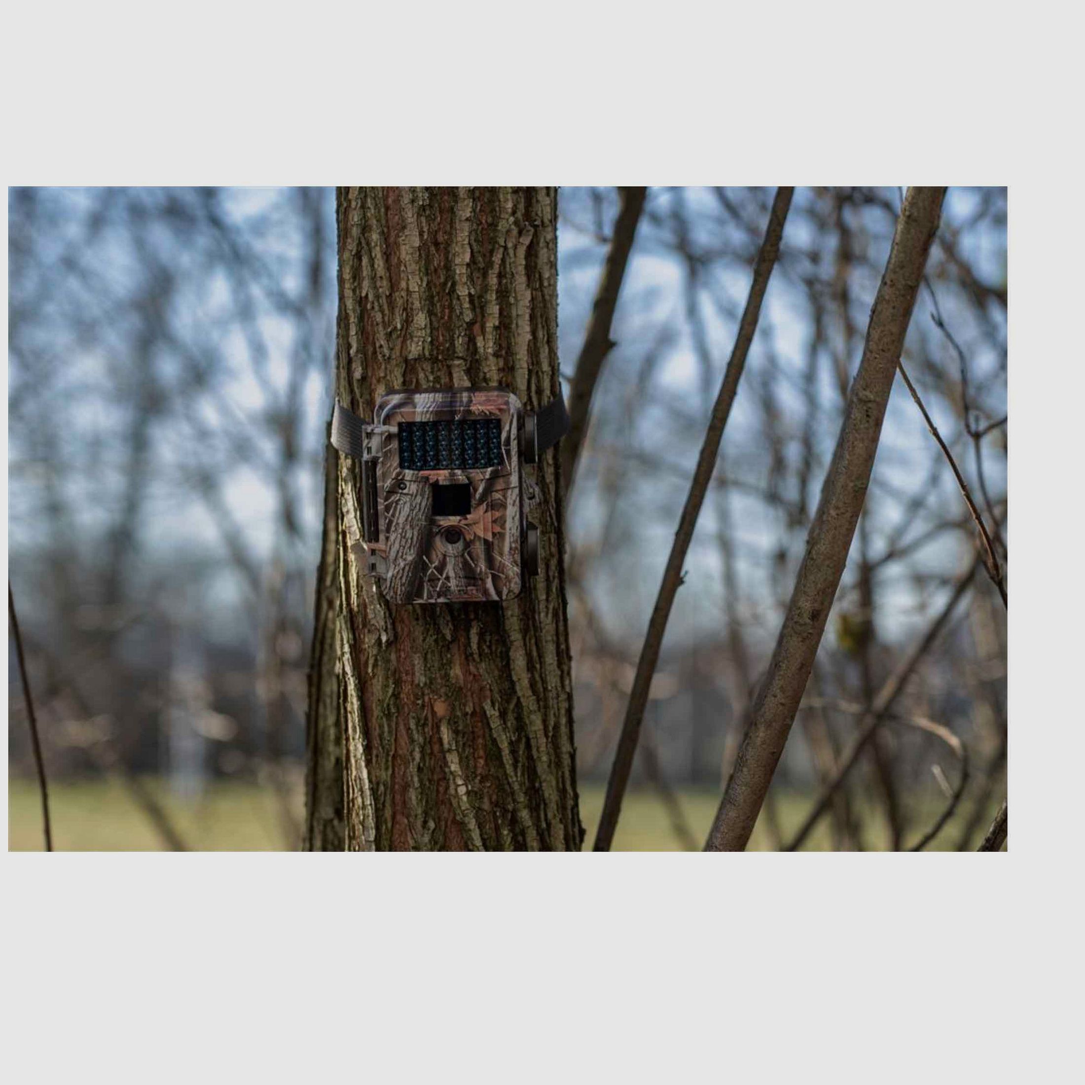 Dörr 204505 Wildkamera Fotofalle Snapshot Mini Black 12 MP HD Camouflage 40 Black LEDs