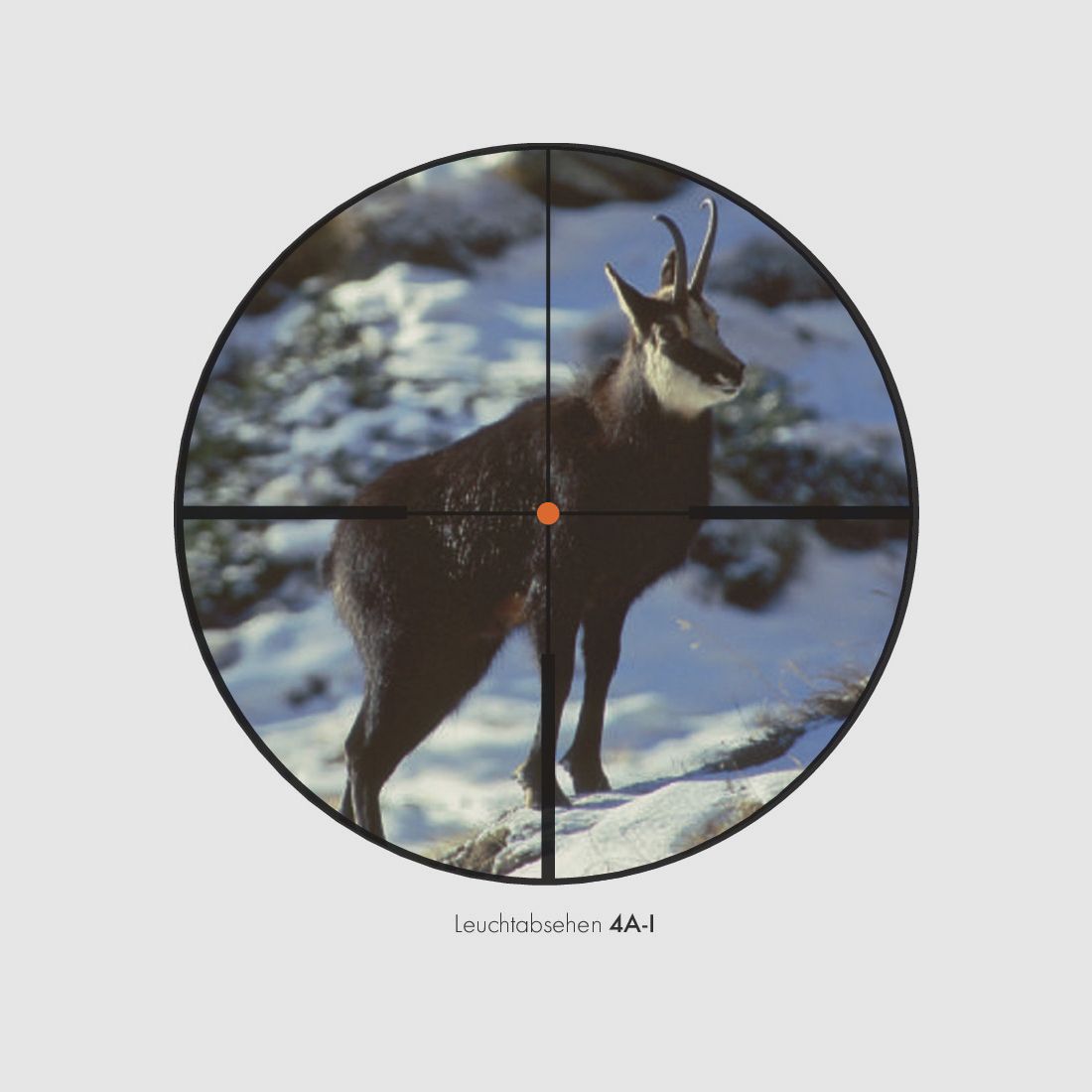 Swarovski Z8i 2-16x50 P SR