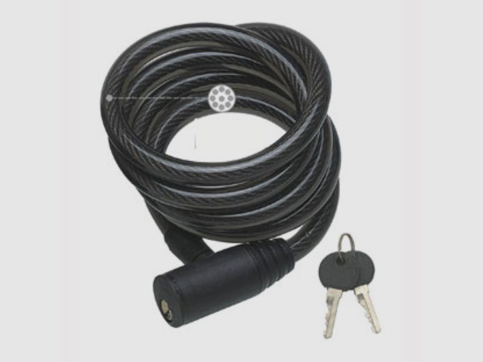 Spypoint theft protection