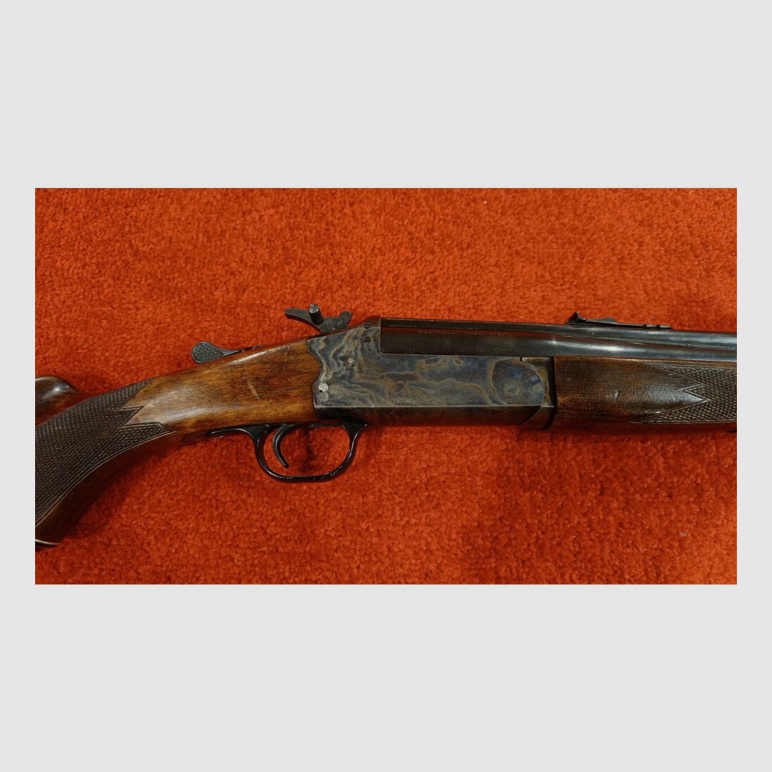 Savage unbekannt .22lr;.410/76