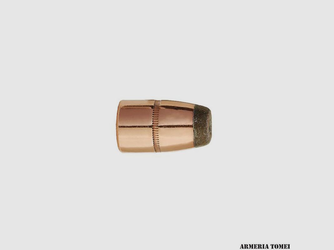 GESCHOSSE – SIERRA – 45 Kal. .458 DIA. 300GR. HP/FN PRO-HUNTER (50 Stk.)