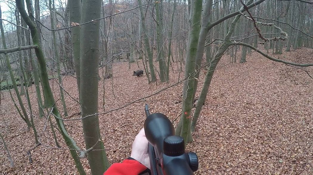 Driven hunts in Germany - Drückjagd in Deutschland