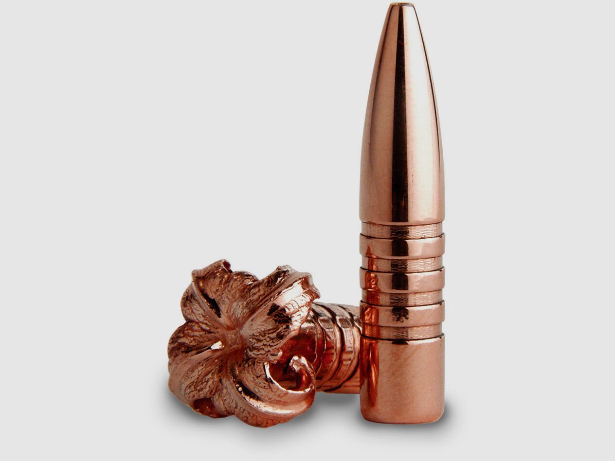Barnes Vor-TX TSX 55gr - 20 pezzi