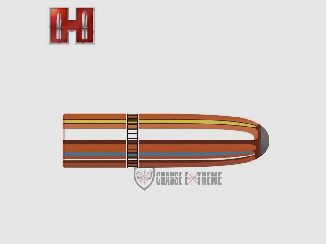 100 Geschosse HORNADY Kal. 338-250Gr InterLock Rn