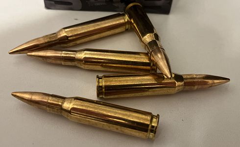 Das Universalkaliber schlechthin - .308 Winchester
