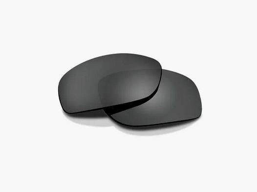 Wiley X Valor 2.5 Polarized Grey CHVALPS Brillengläser