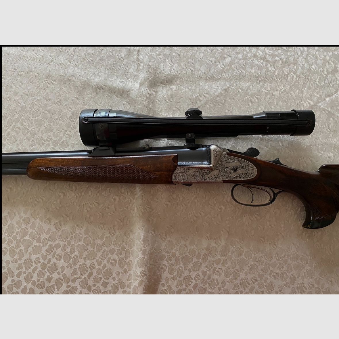 Edler Ferlacher Bockdrilling Franz Sodia