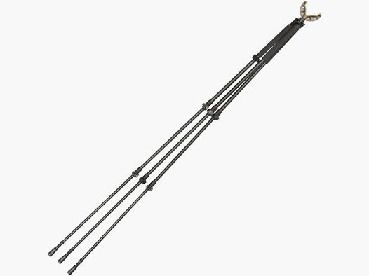 Allen Zielstock Axial