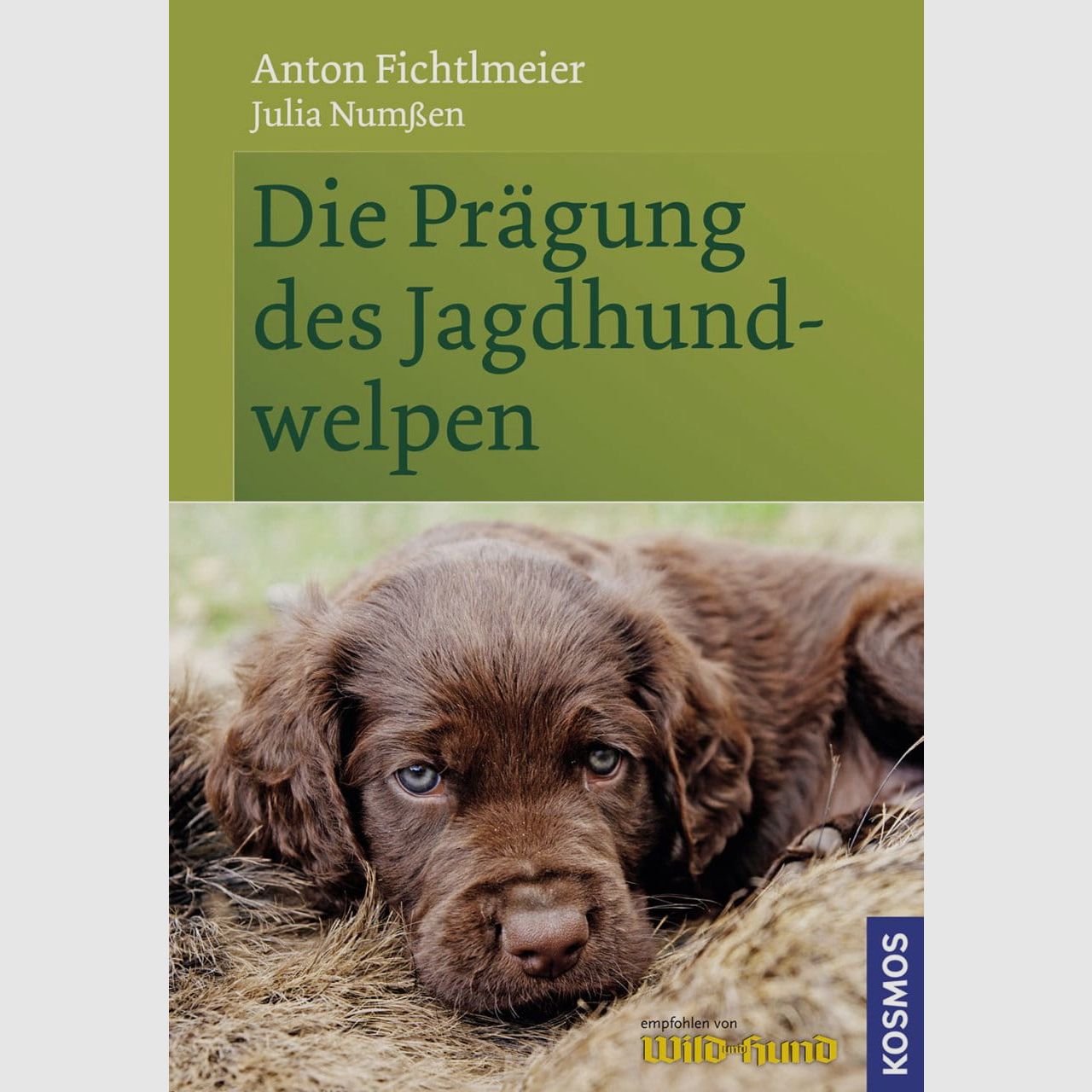 De imprinting van de jachthondpuppy