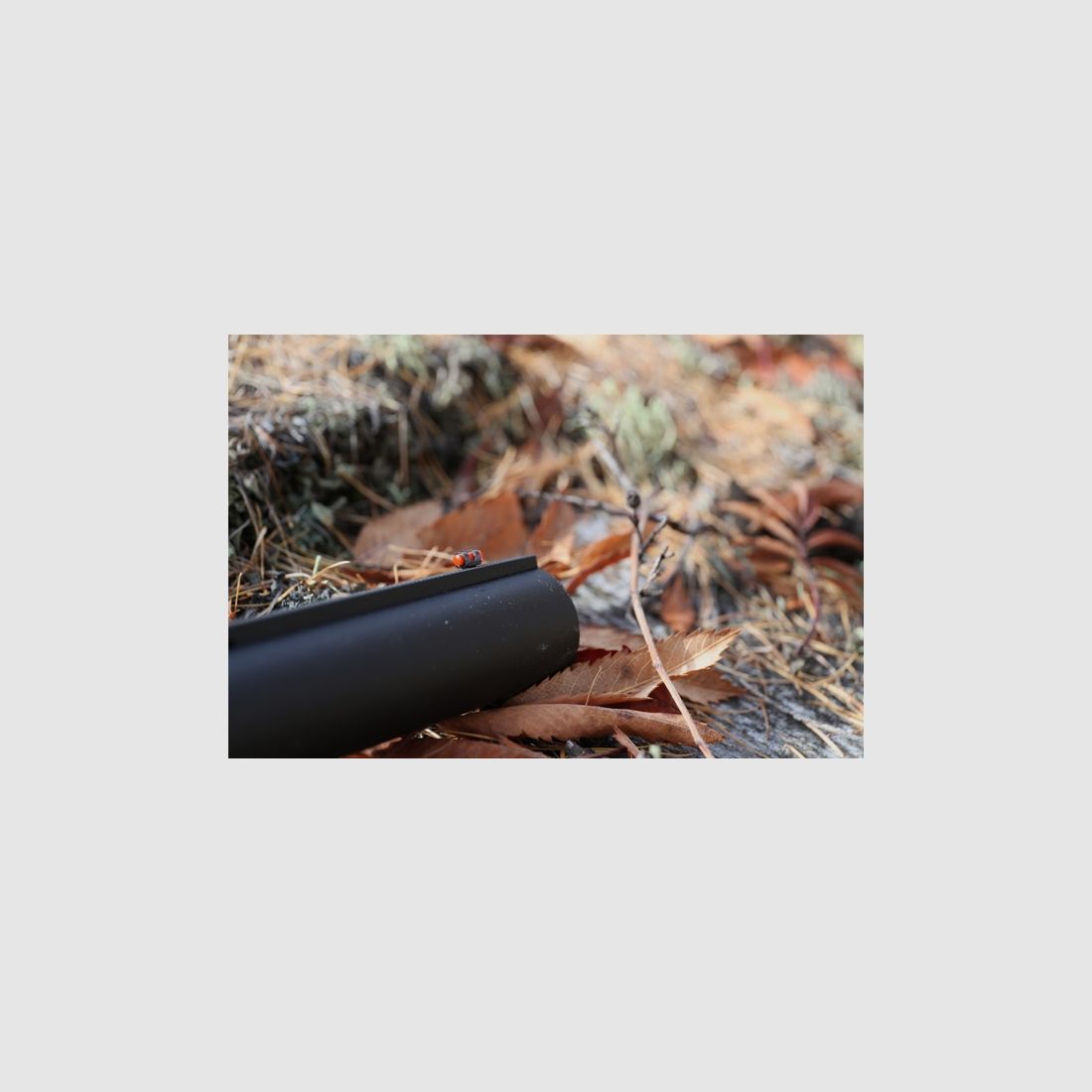 GUN – FRANCHI – AFFINITY WOOD, image 2 of 3