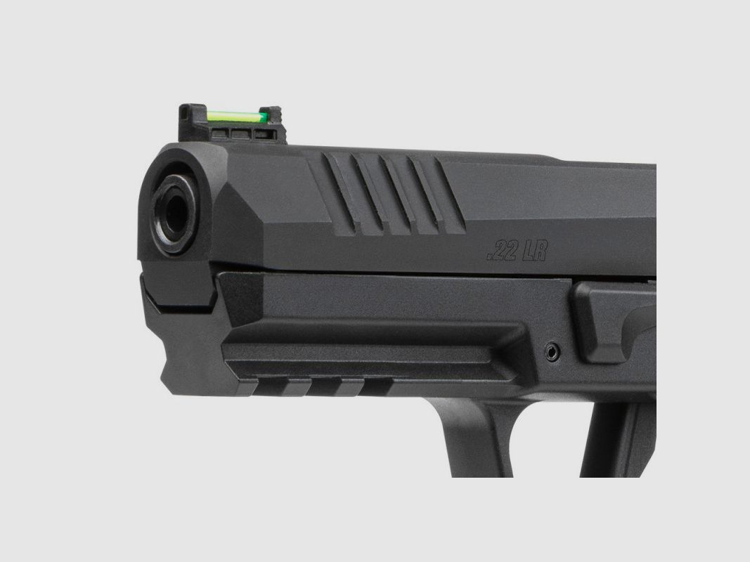 SIG SAUER P322 OR 22 LR 20 RD, image 8 sur 8