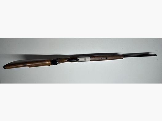 Blaser B95