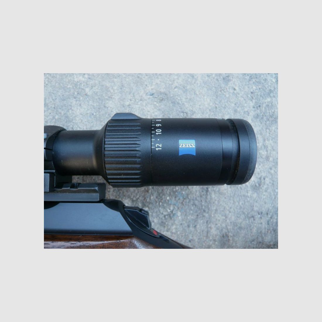 Sauer 101