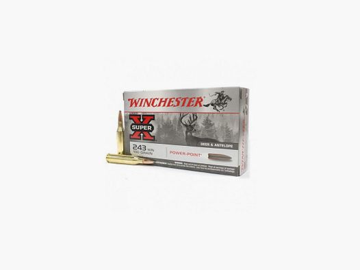 Winchester 243 W Power Point 100 Gr