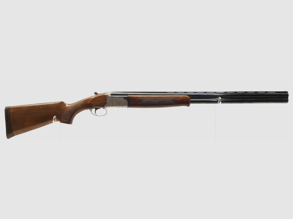 Kettner Campione, zdjęcie 7 z 10