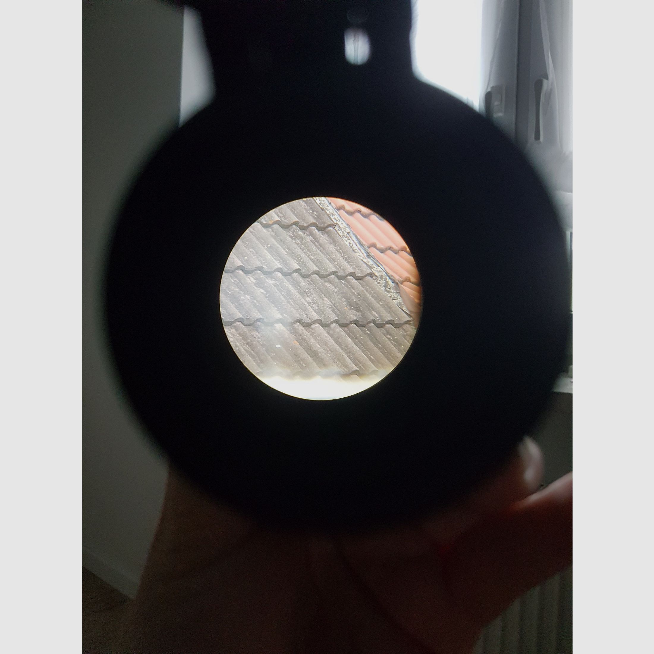 Sig Sauer Juliet6 Magnifier 