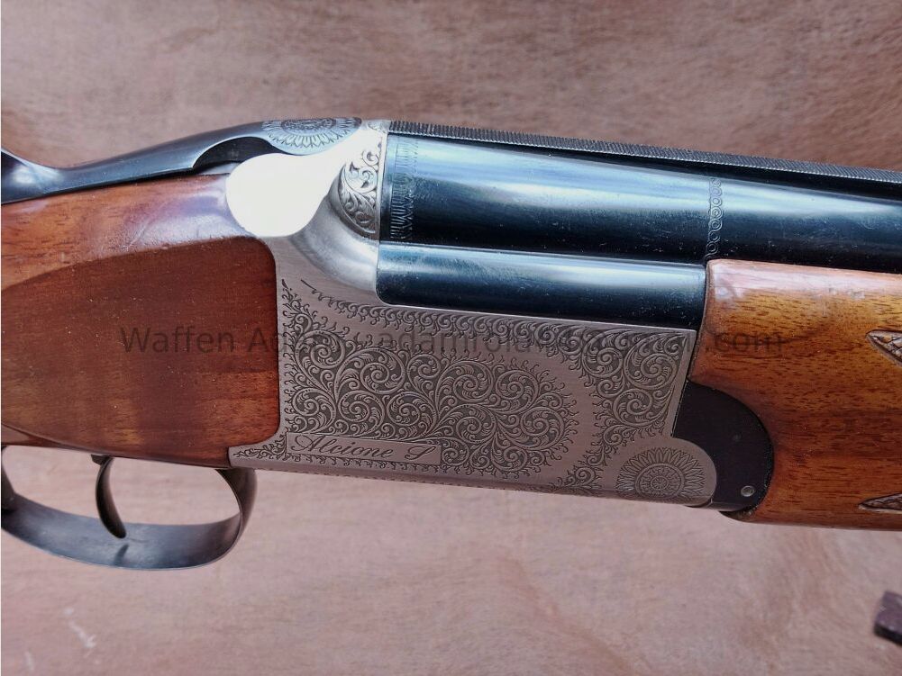 Luigi Franchi, Brescia / Italië Alcione S ; BDF Sport