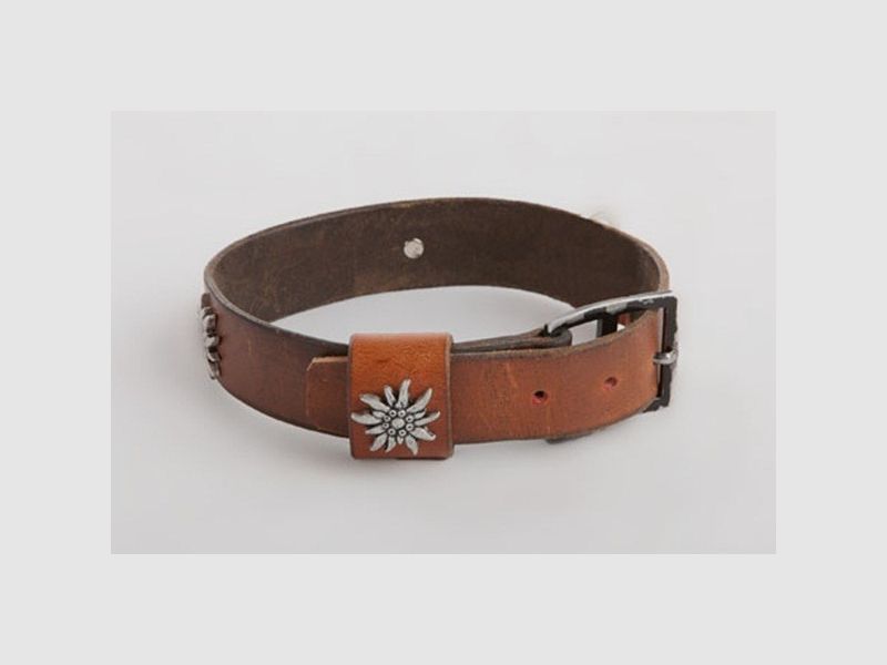Hundehalsband, Original CH-Armee Ceinturon (gebraucht) mit Edelweissbesatz