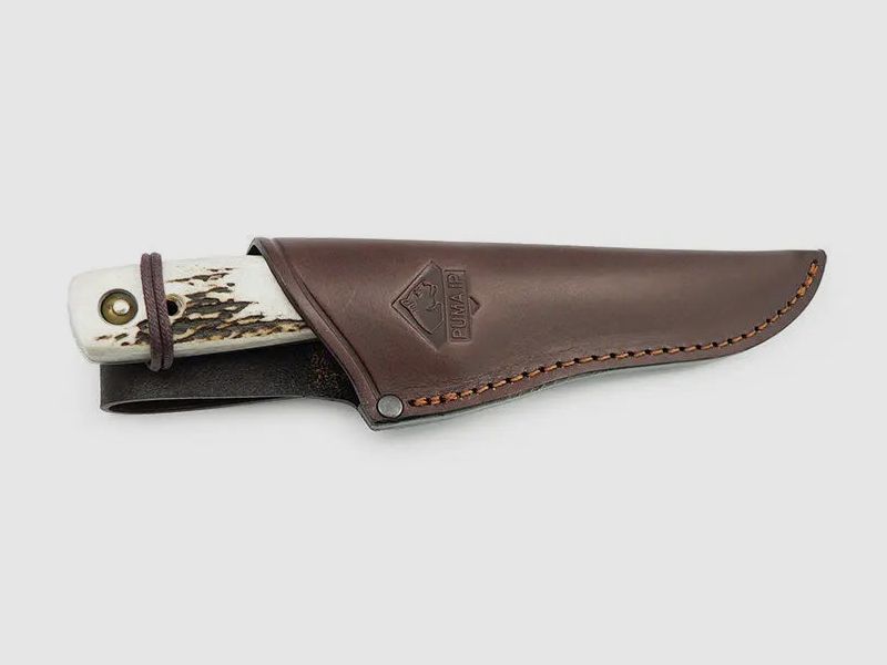 PUMA IP roe deer, stag