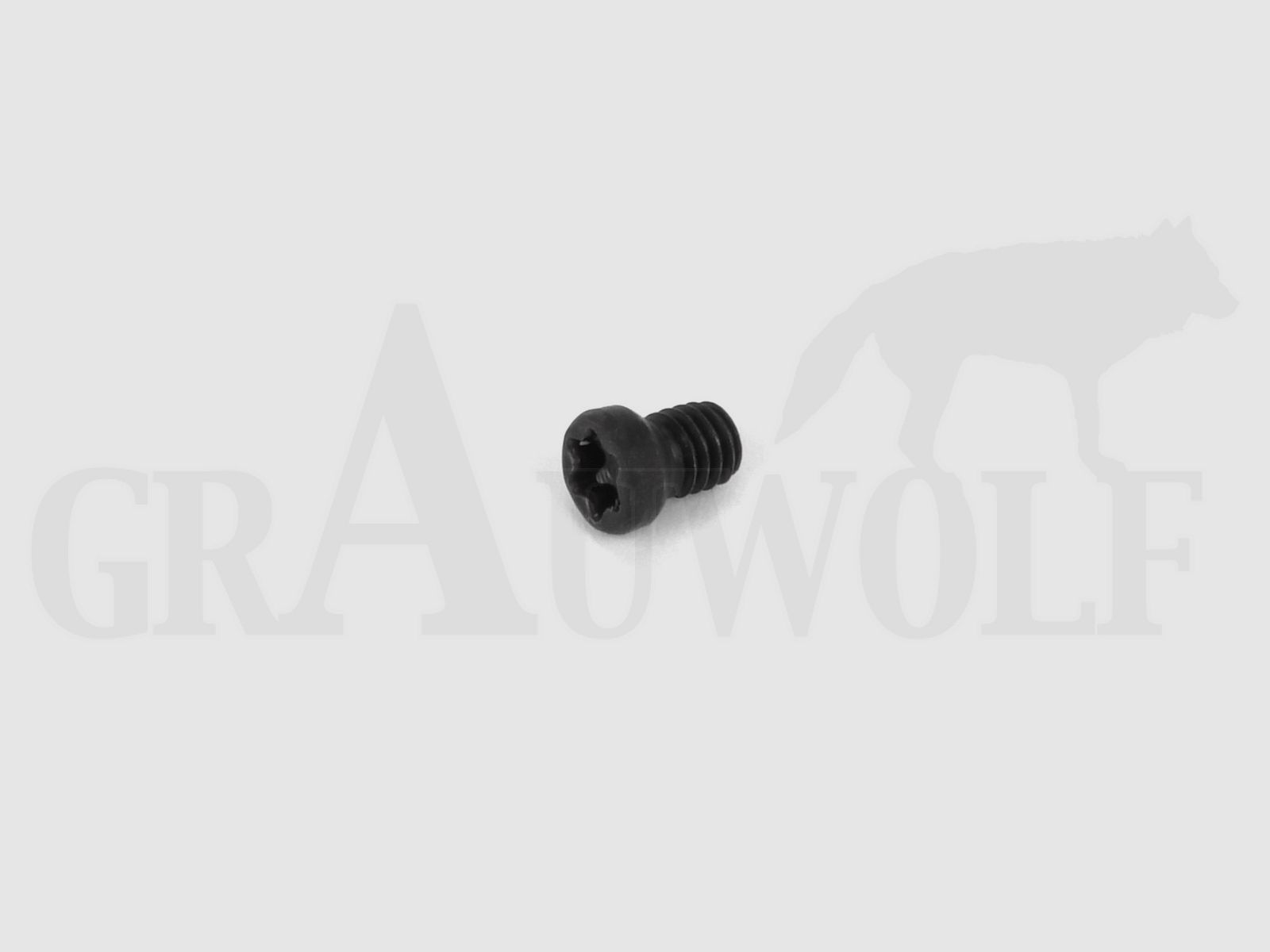 EAW Mounting Screw for Bases M3.5x6.3mm